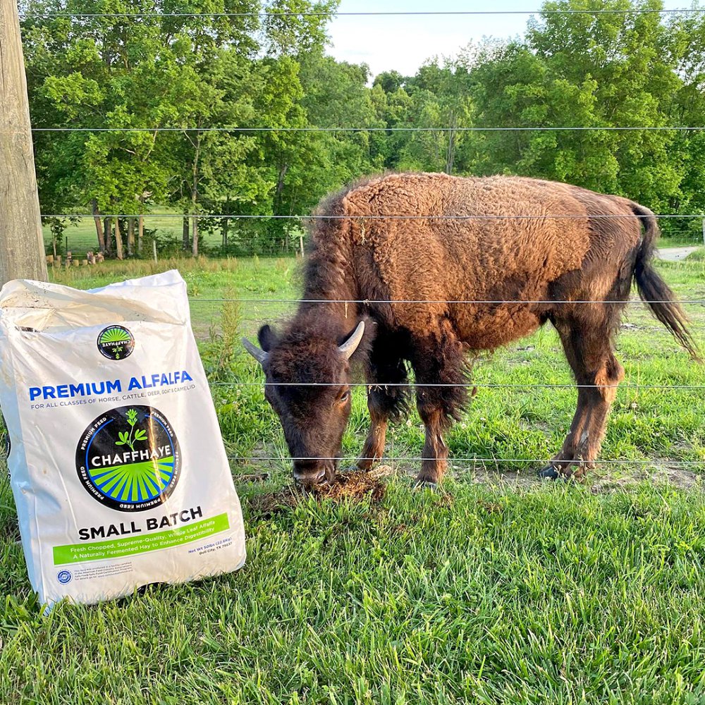 Cherokee Valley Bison Ranch - Thornville, OH