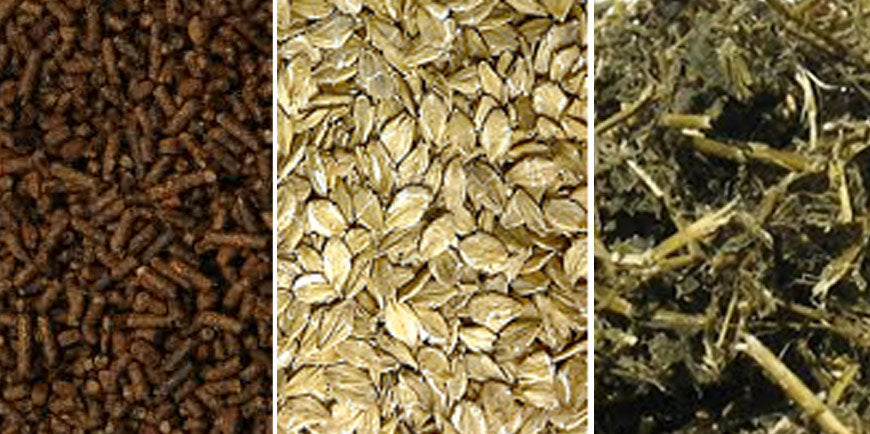 Not All Protein is Created Equal