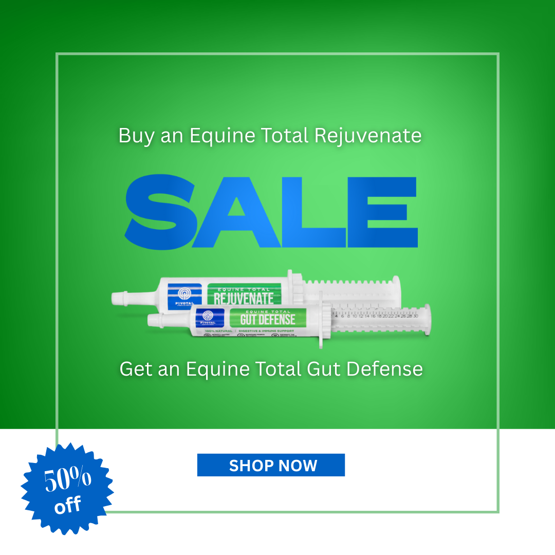 Buy one Equine Total Rejuvenate, Get one Equine Total Gut Defense HALF OFF!