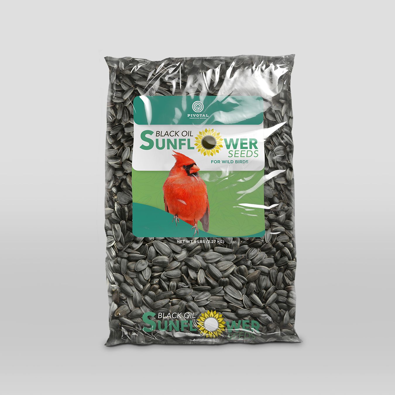 Black Oil Sunflower Seeds