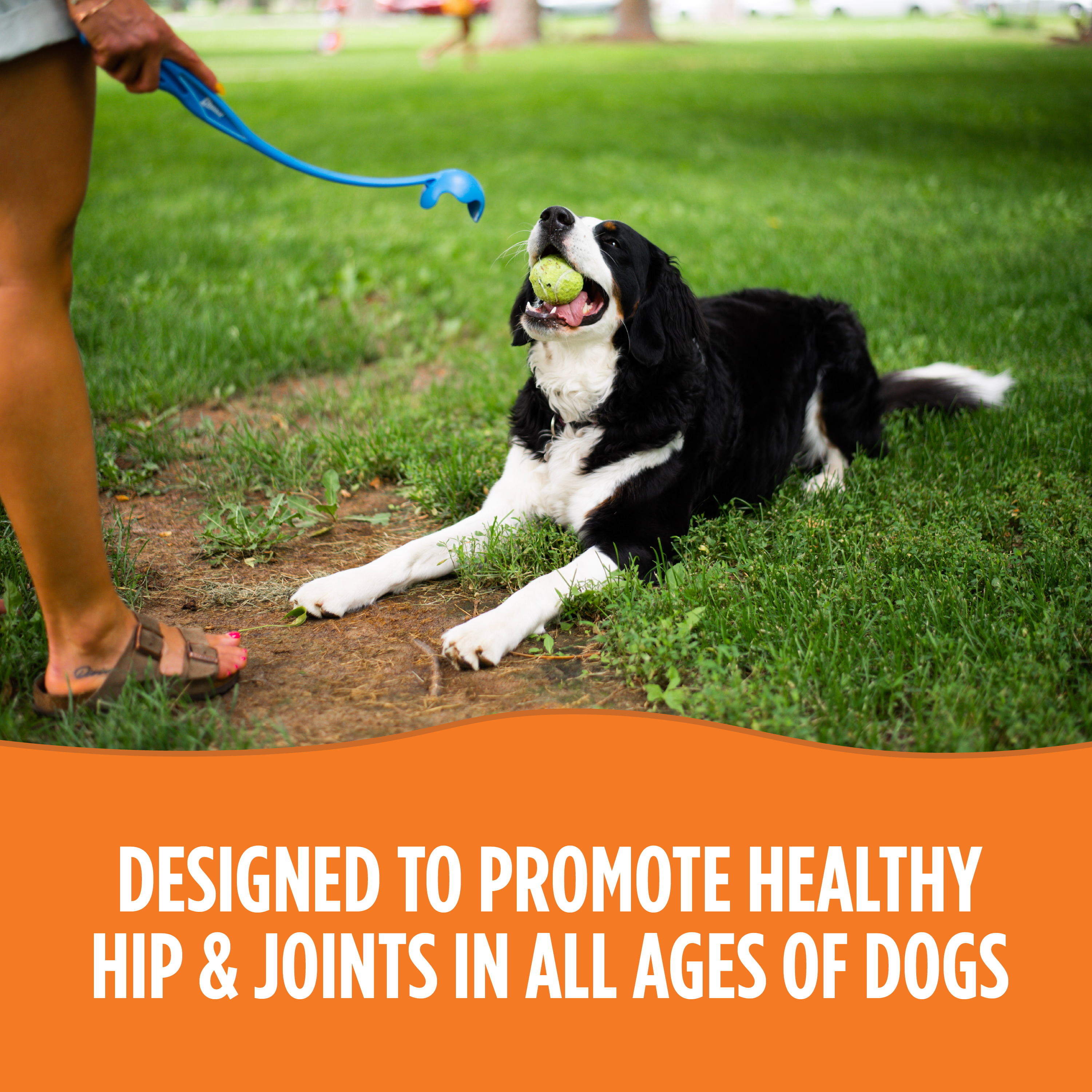 Total K-9 Flex (180 Servings*)