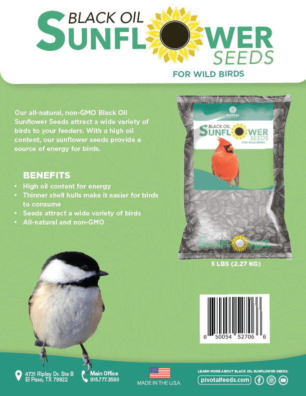 Black Oil Sunflower Seeds