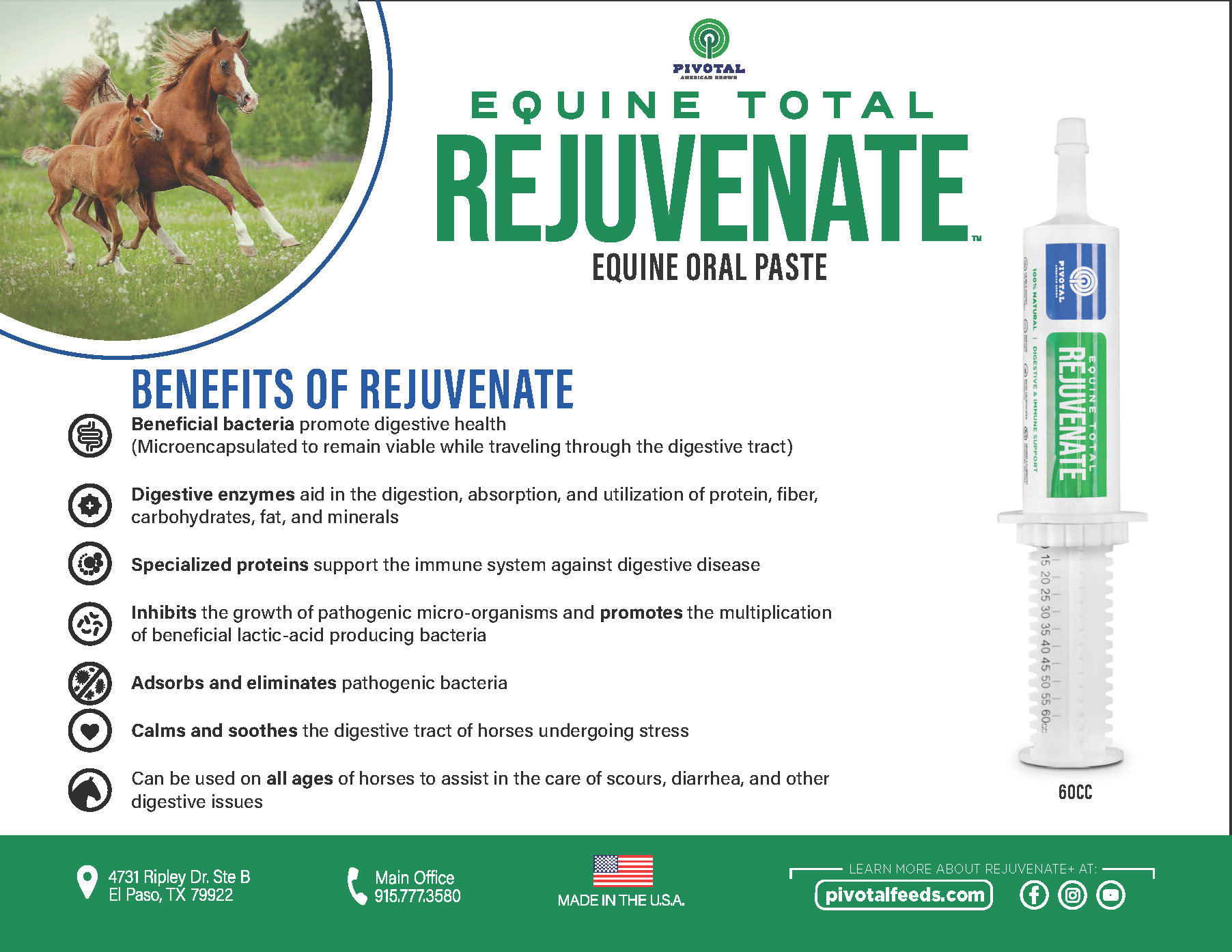 Rejuvenate & Recovery Bundle