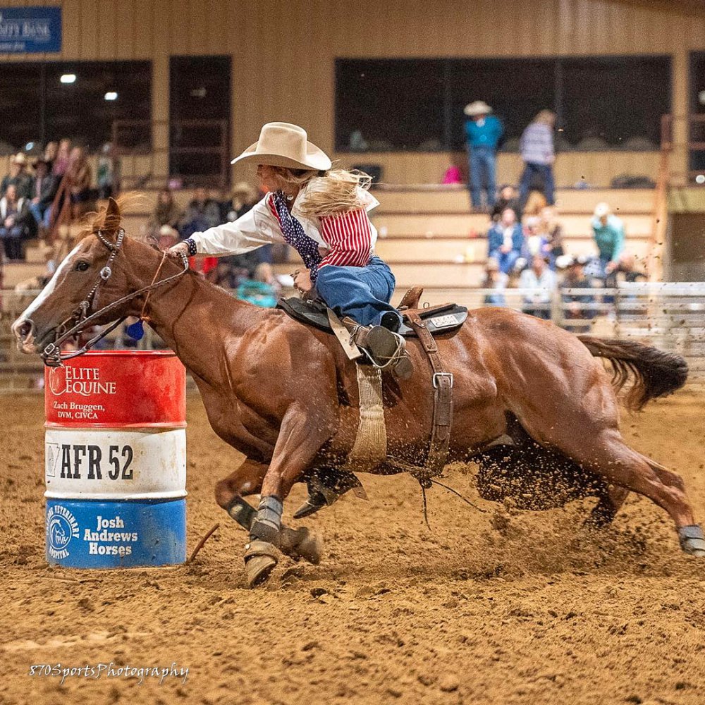 Senior Horse is Better with Age - Fort Smith, AR