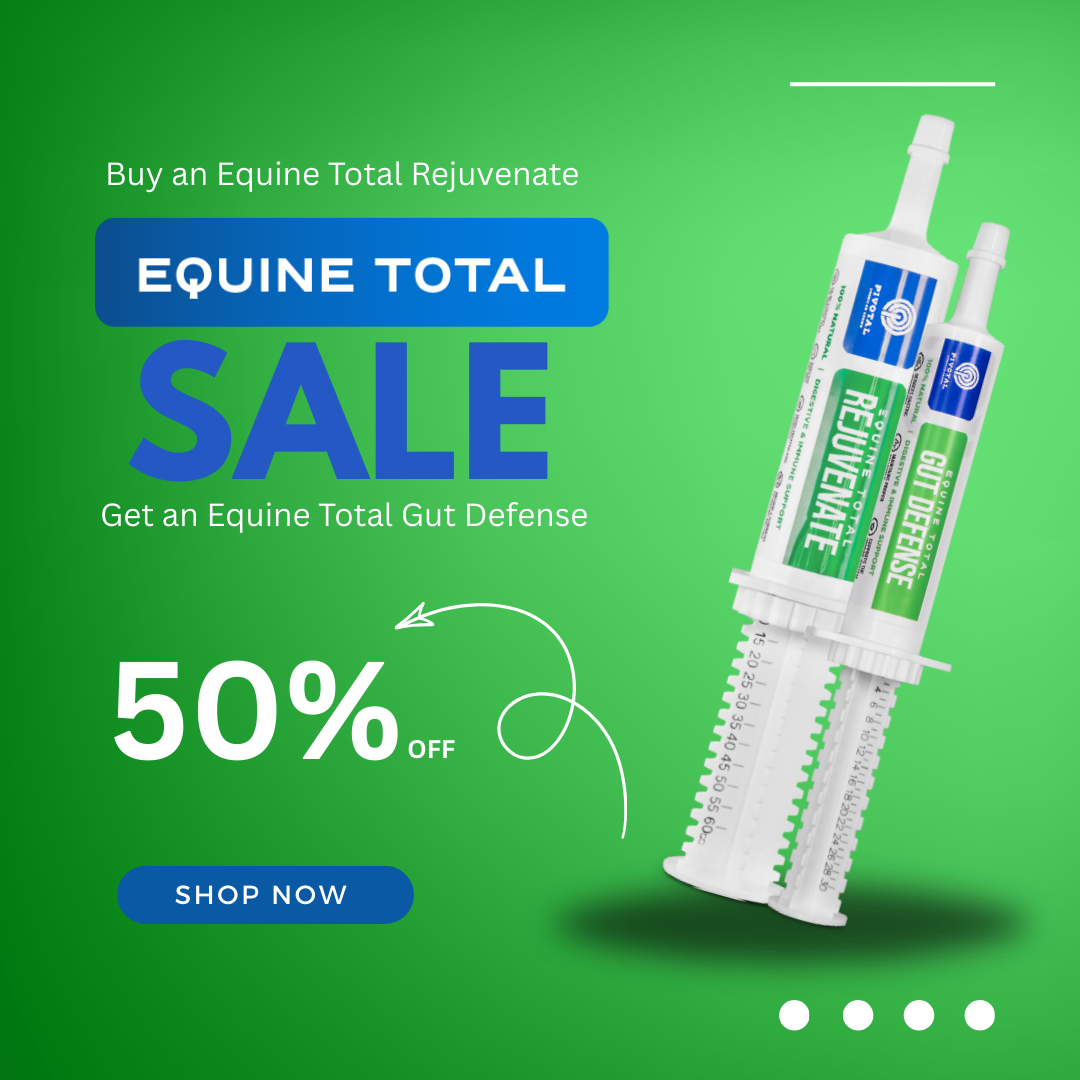 Buy one Equine Total Rejuvenate, Get one Equine Total Gut Defense HALF OFF!