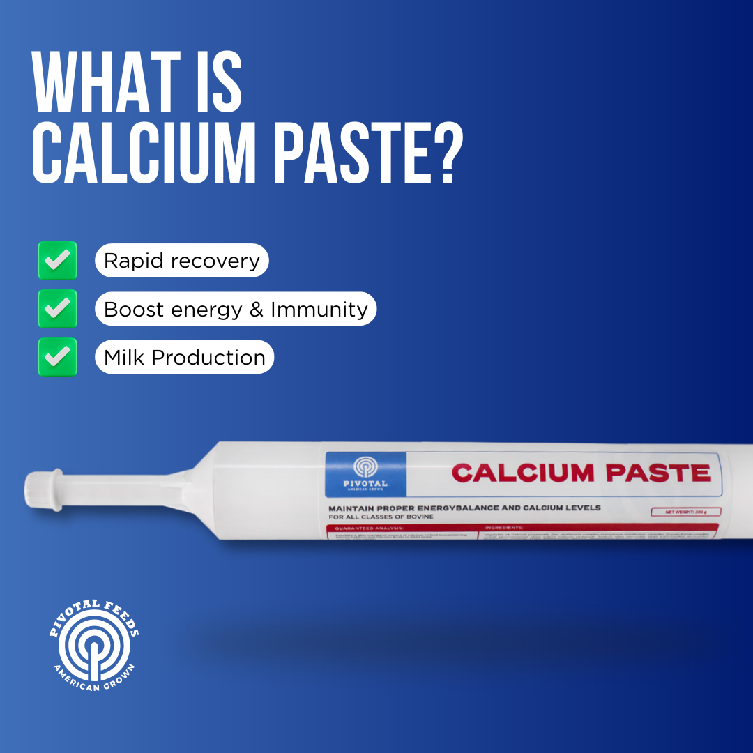 Calcium Paste
