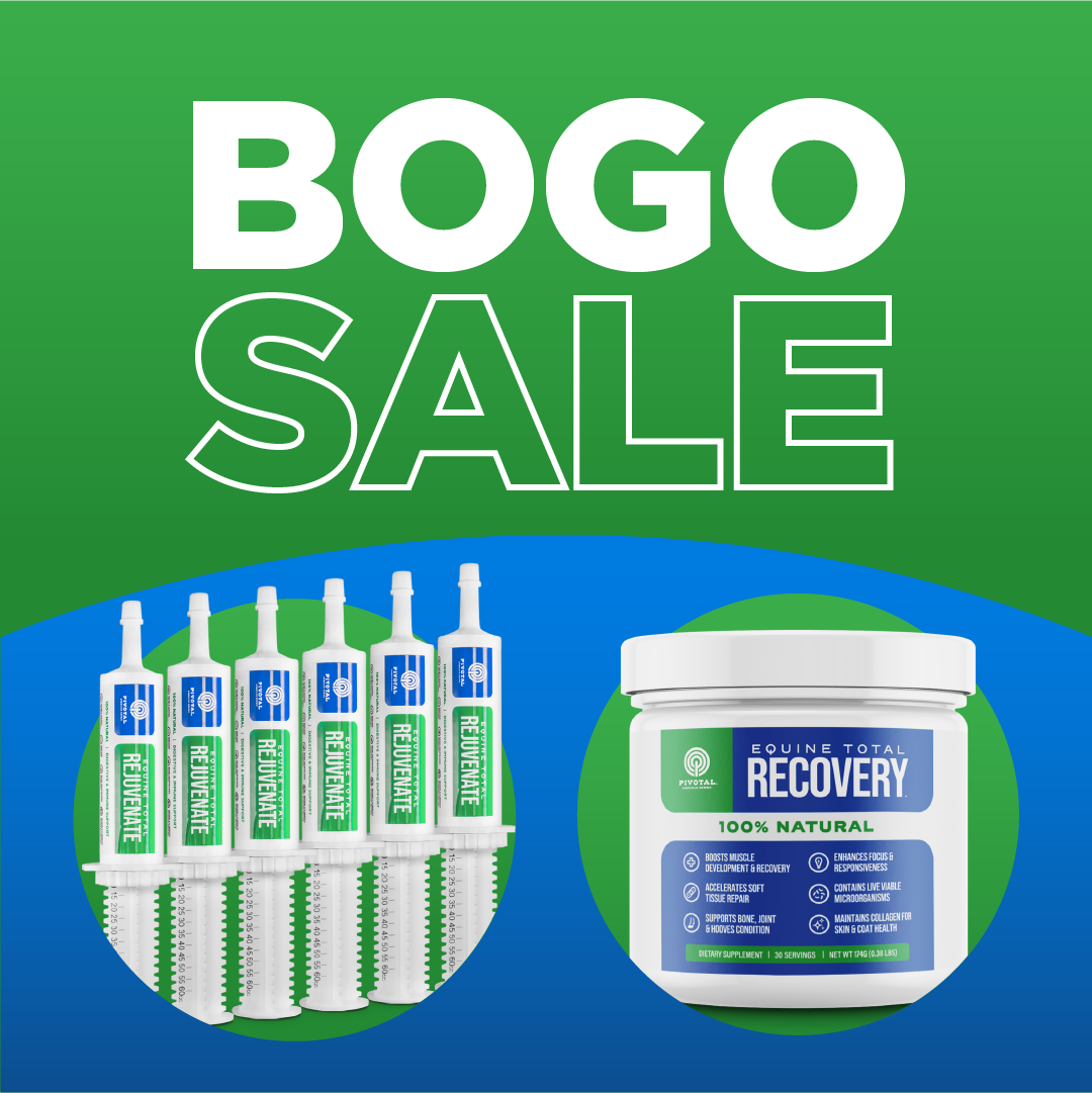 BOGO Rejuvenate and Recovery