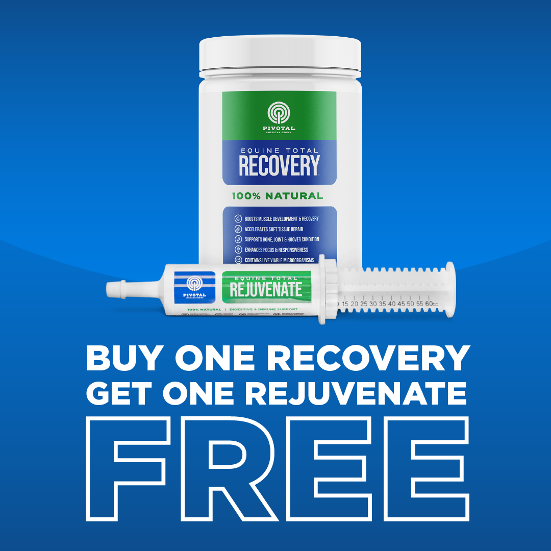 BOGO Recovery &amp; Rejuvenate