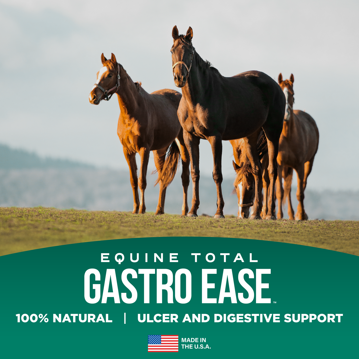 Equine Total Gastro Ease