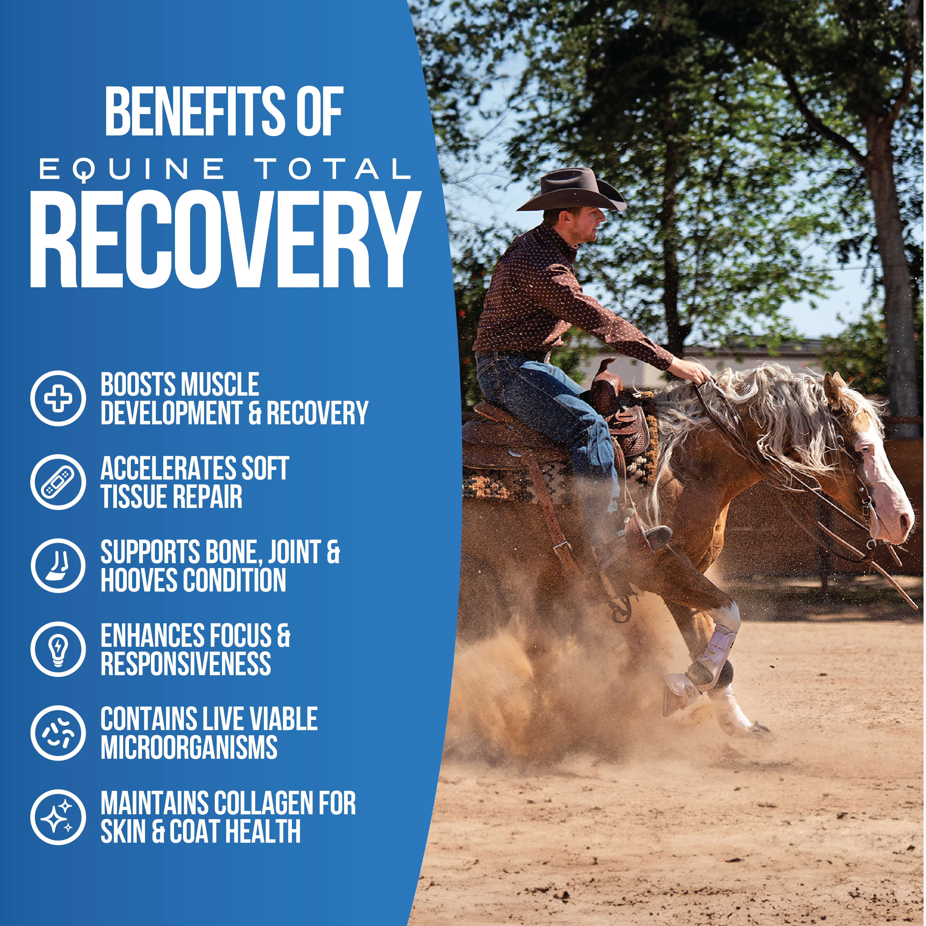 Equine Total Recovery