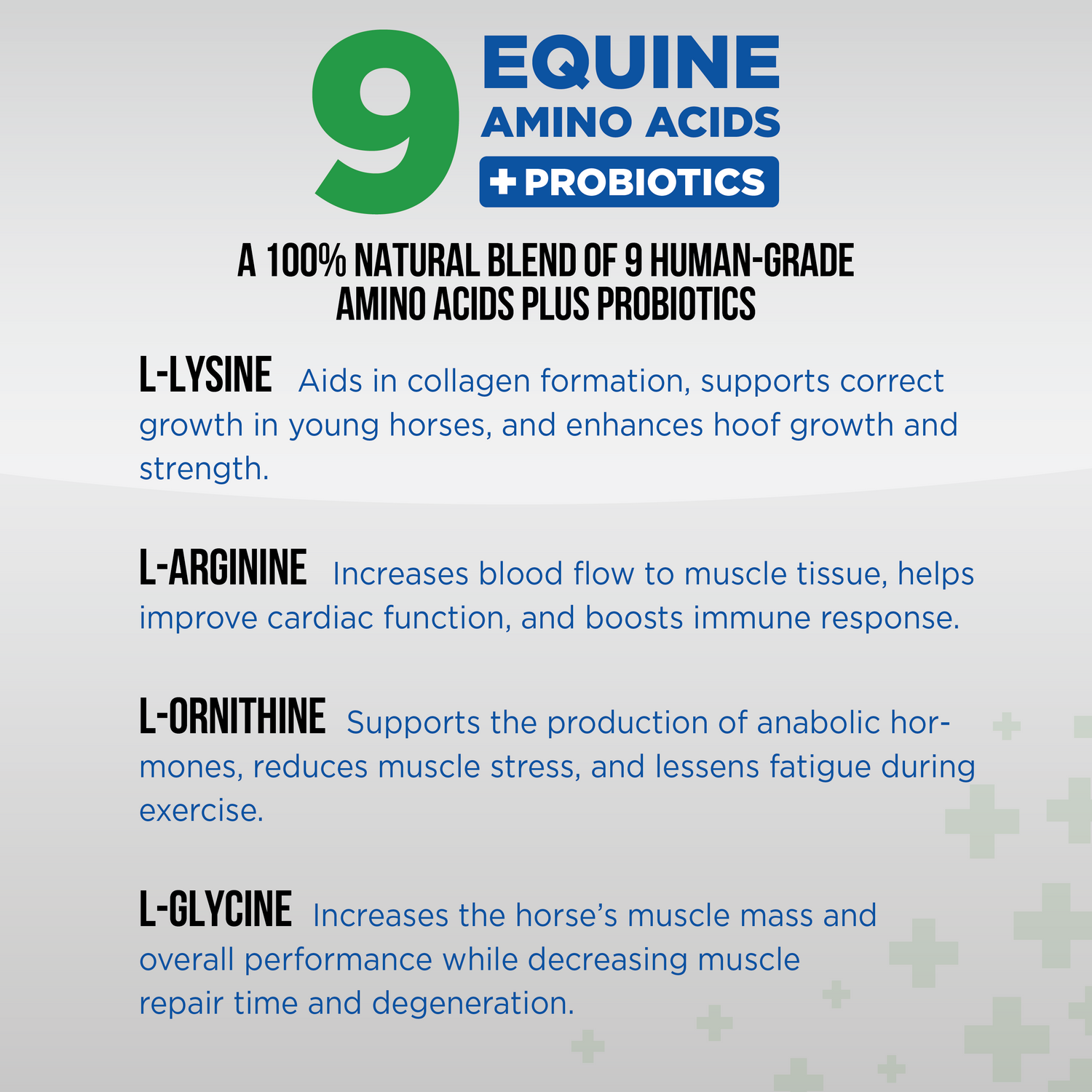 Equine Total Recovery