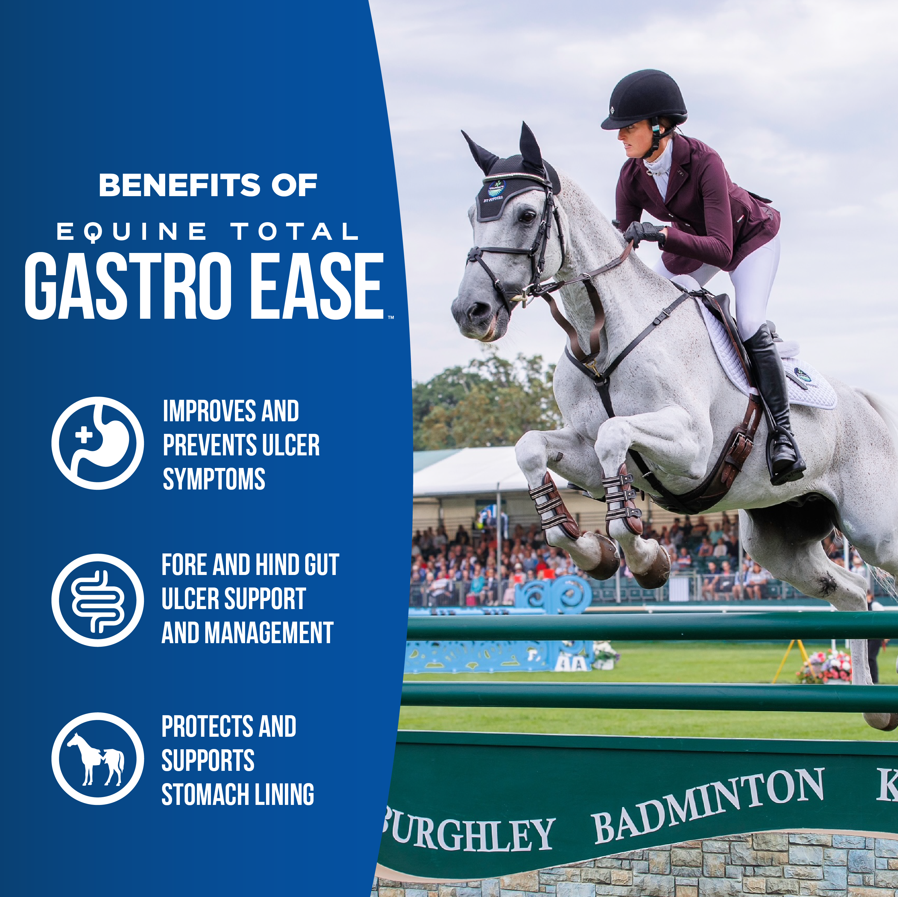 Equine Total Gastro Ease