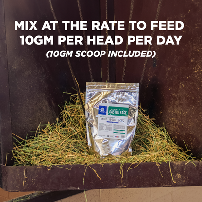 Equine Total Gastro Ease