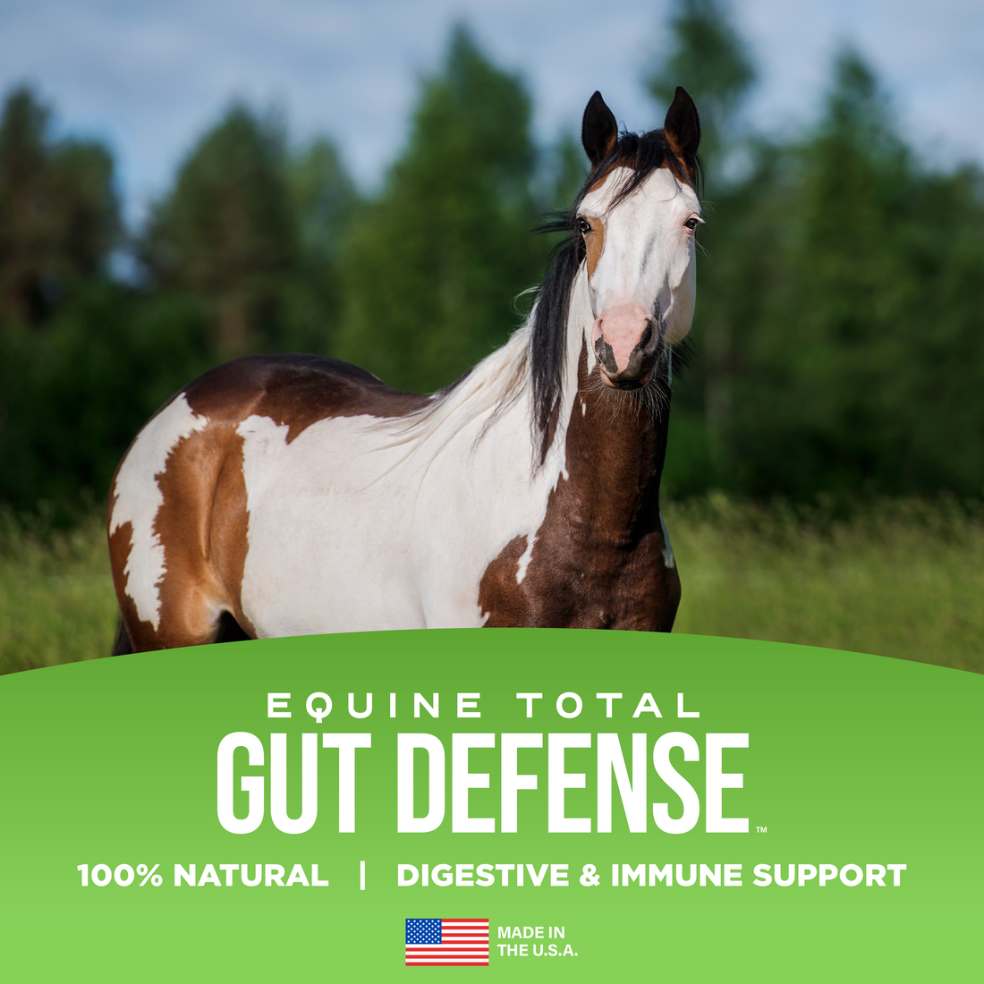 Equine Total Gut Defense