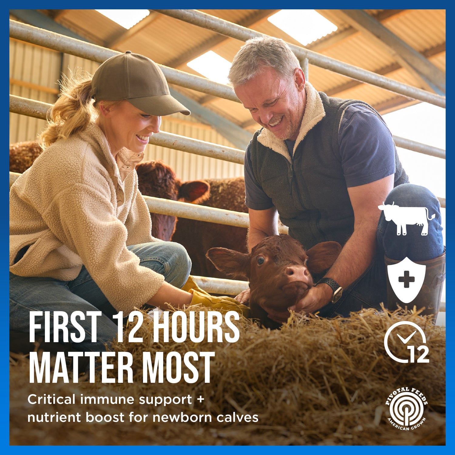 Calf Paste: Advanced Immune &amp; Nutrient Support for Newborn Calves