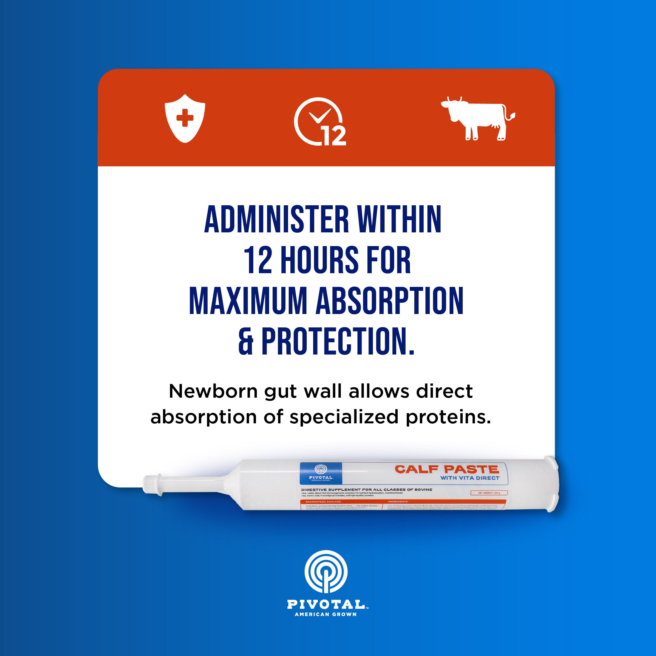 Calf Paste: Advanced Immune &amp; Nutrient Support for Newborn Calves