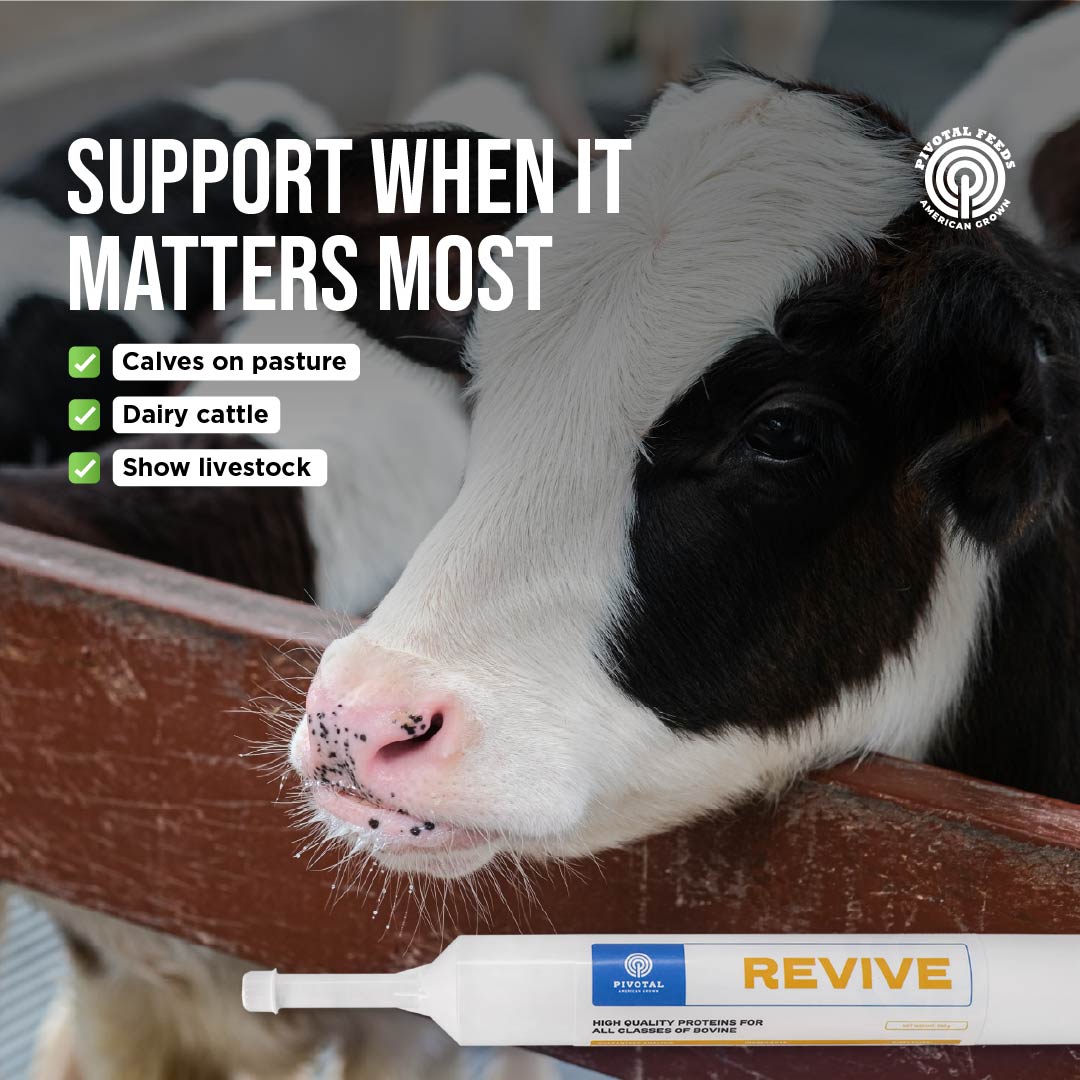 Revive: Emergency Support for Ruminants in Crisis