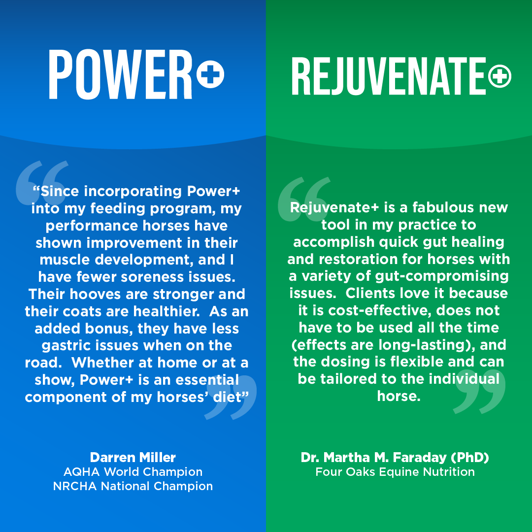 BOGO Power+ and Rejuvenate+