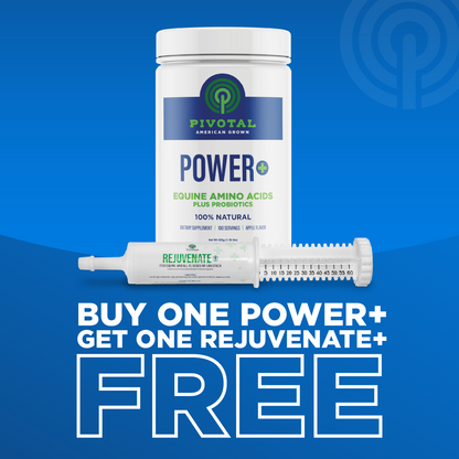 BOGO Power+ and Rejuvenate+