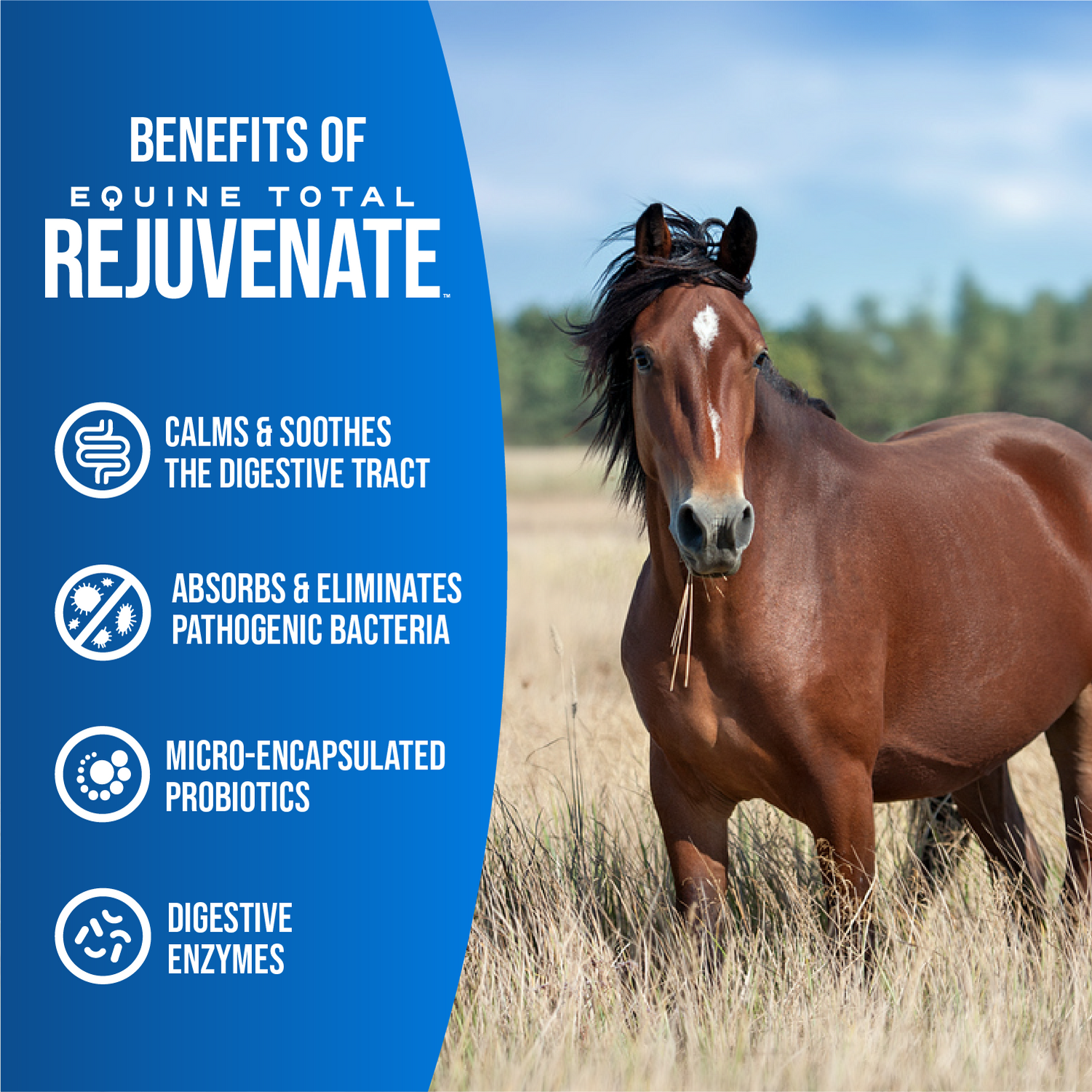 Equine Total Rejuvenate