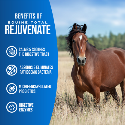 Equine Total Rejuvenate