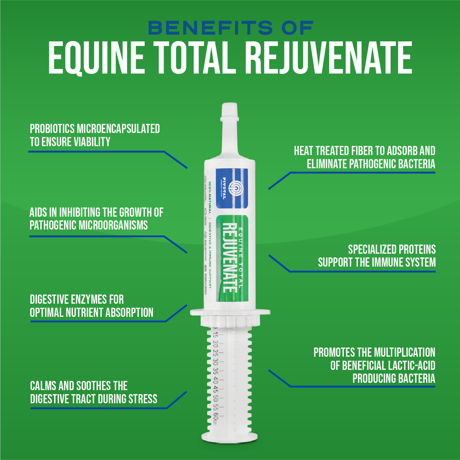 Equine Total Rejuvenate