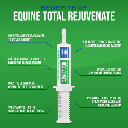 Equine Total Rejuvenate