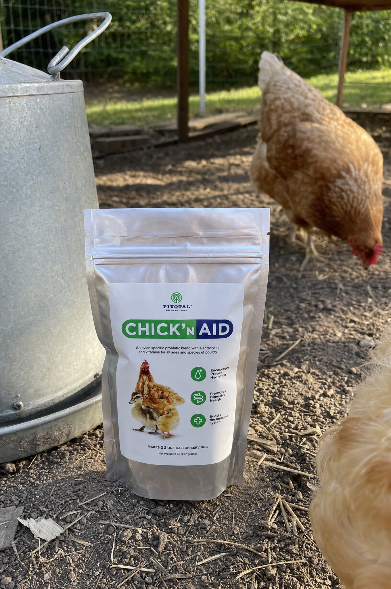 Chick&