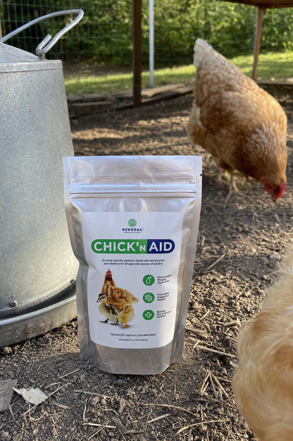 Chick&