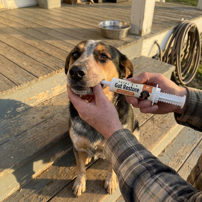 Total K-9 Gut Restore