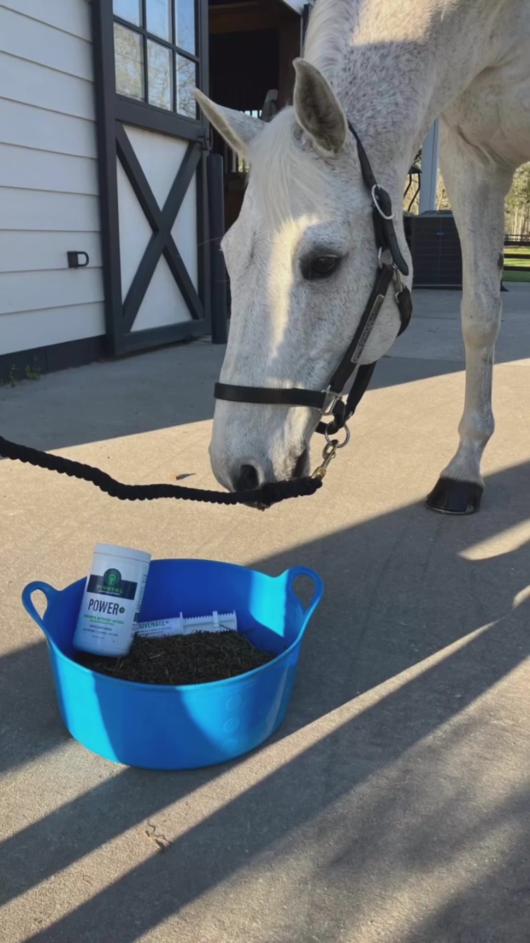 Equine Total Rejuvenate