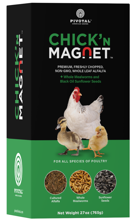 Chick'n Magnet Feeds